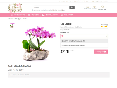 Ürün sayfası örneği